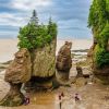 Hopewell Rocks at Low Tide