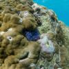 Oyster Stacks Ningaloo