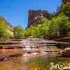 Zion Subway 