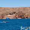 Berlengas