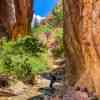 Kanarra Falls Track