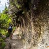 Lagoinha Trail