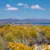 Mono Lake