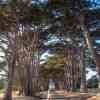 Cypress Tunnel