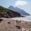 Tuara Beach