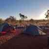 Our two MSR tents on a campground in Karijini