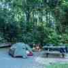 Campsite in the forest in Queensland in Australia