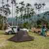 Campsite in Taiwan with palm trees close to Alishan