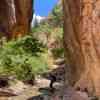 The beginning of the Kanarra Falls Track