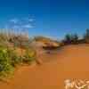 Coral Pink Sand Dunes