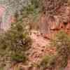 Bright Angel Trail 2004