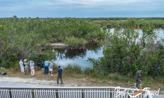 Birders with cameras and binoculars in 10000 Islands