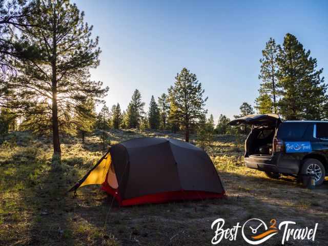 A tent and car in the Dixie forest in the US