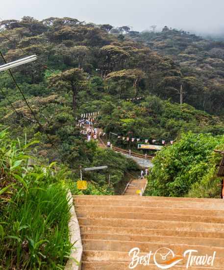 View from the bottom up to the steep ascent with thousands of steps
