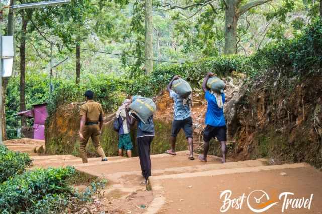 Men carry sacks full of coins