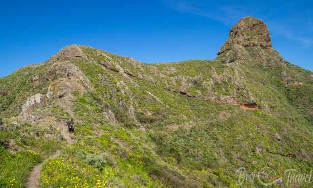 A narrow hiking path leading into the canyon on a sunny day