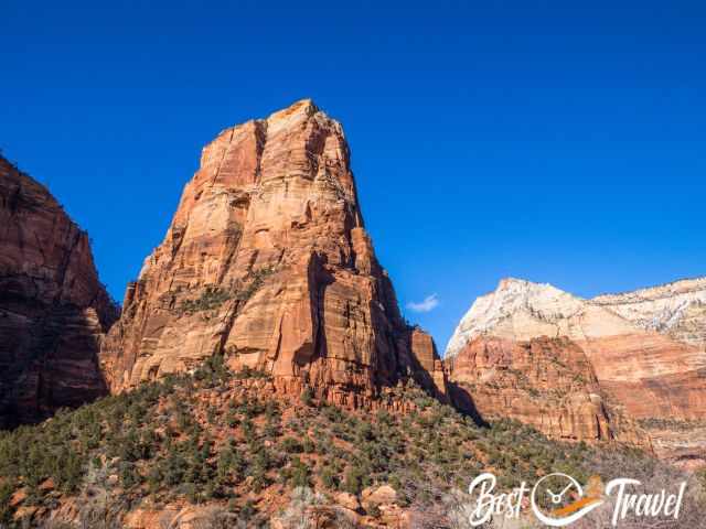 View to the canyon from the Zion scenic drive