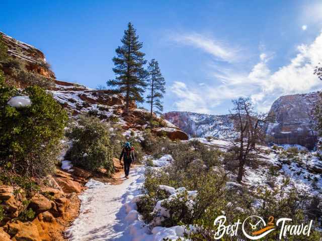 A narrow hiking path in higher elevations in Zion National Park.