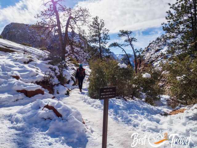 The trail sign for West Rim Trail and Angels Landing.