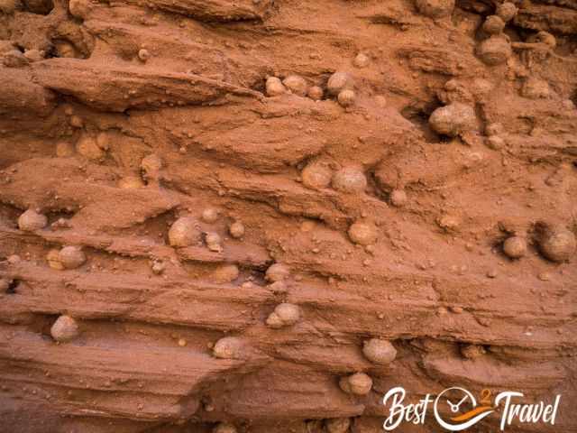 A canyon wall with sandstone pebbles.