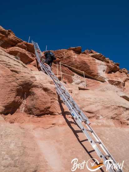 Several ladders descend the sandstone wall.
