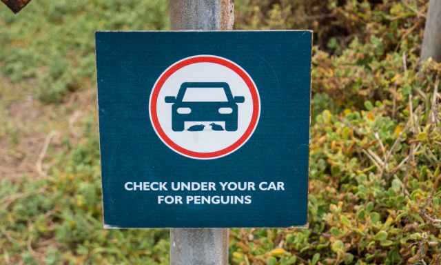 A sign warning car drivers to check if there are penguins under their vehicle before leaving.