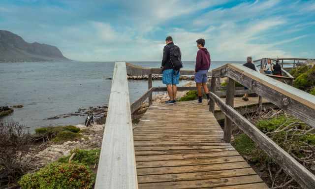 The 500 m long boardwalk in the Nature Reserve