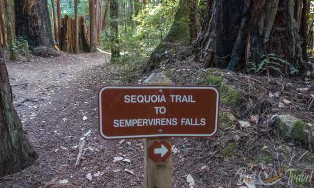 The Sequoia Trail Sign