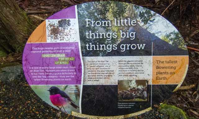 Information Board along the hiking path.