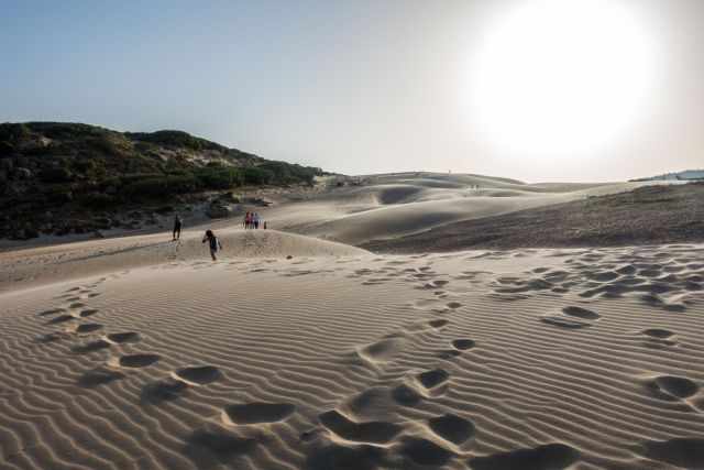 People walking across the Bolonia sand dunes in warm evening light, with rippled sand and vegetation in the distance.