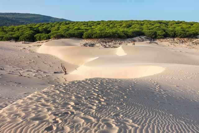 Bolonia shifting Dunes with two children on top