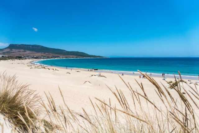 Wide view of Bolonia Beach with pale sand, dune grasses, turquoise water, and hills along the coastline.