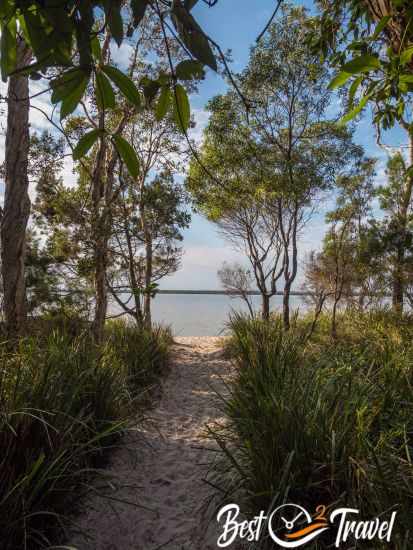 View to the lake from the campsite.