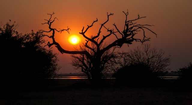 Sunset at Chobe River