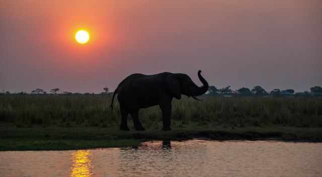 Sunset on Chobe River Cruise