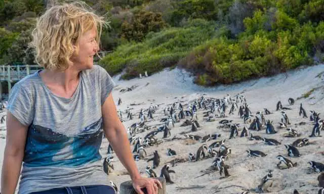 Me watching the African Penguins