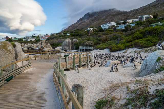 The empty wooden boardwalk in the evening before closure without any visitors.