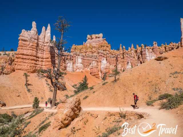 A hiker on a path in the Amphitheater of Bryce.