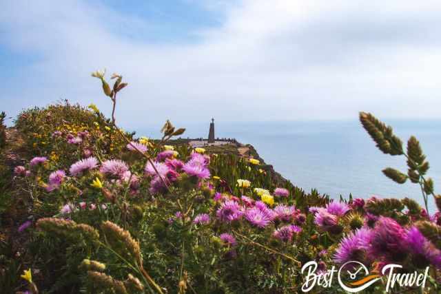 The most westerly point and colourful flowers in spring.