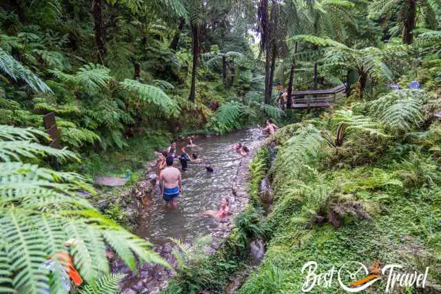 Plenty of visitors in a smaller hot pool.