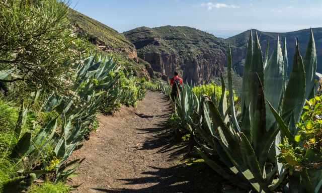 The gravel trail leads into the caldera.