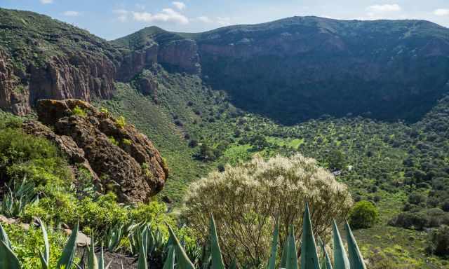 The lush vegetation; the caldera is full of plants and flowers