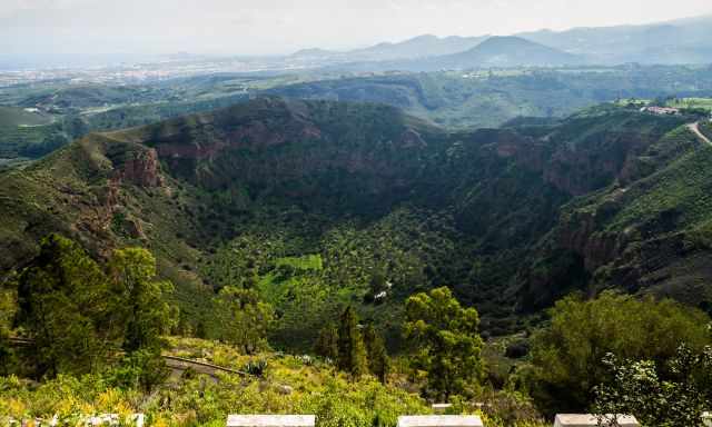 The view from Pico de Bandama into the crater.