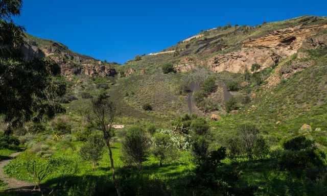 The inner crater and lush vegetation