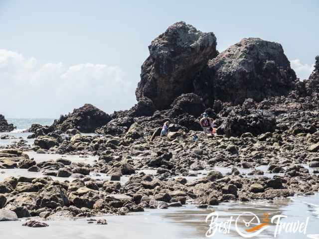 Kids at the tide pools.