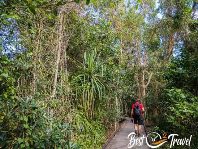 A visitor on a hiking path in the National Park.