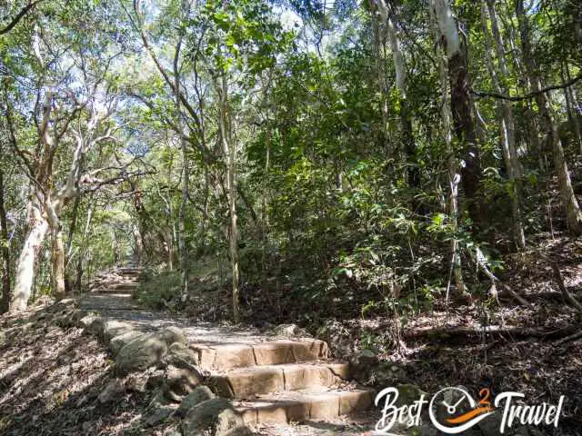 The circular part through the forest.