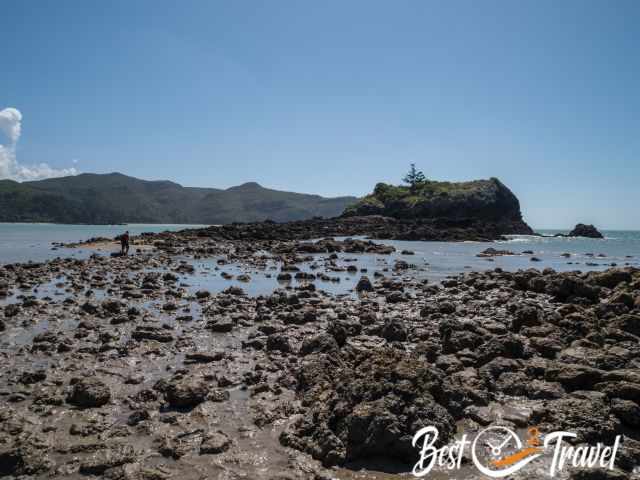 View from Wedge Island to Orchid Rock.