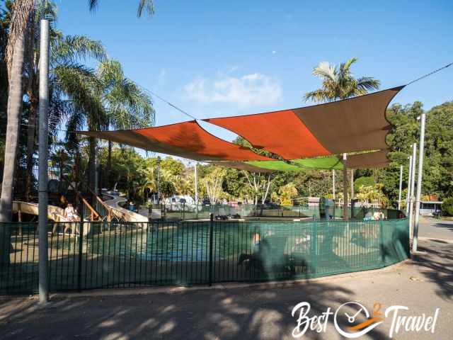 Campground visitors at the pool