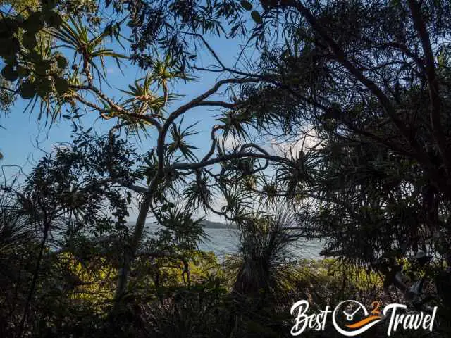 The lush vegetation along the trail and the sea.